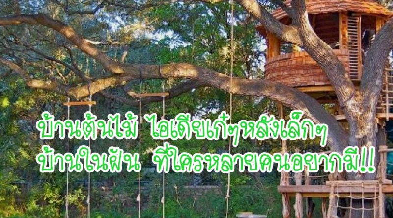 แบบบ้านต้นไม้ Archives OOPSNEW