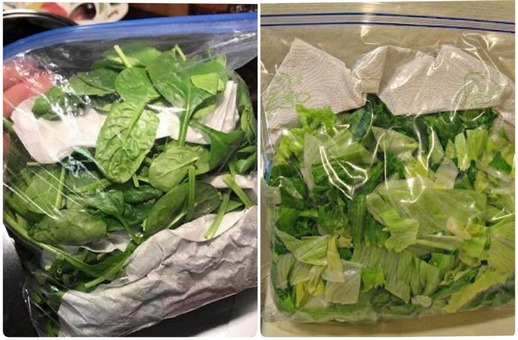 วิธีเก็บผักสดให้ได้นานในตู้เย็น
